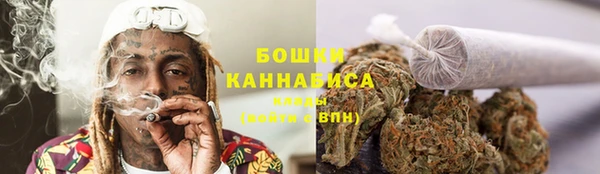 гидропоника Белоозёрский