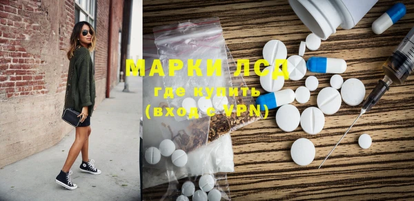 трава Белокуриха