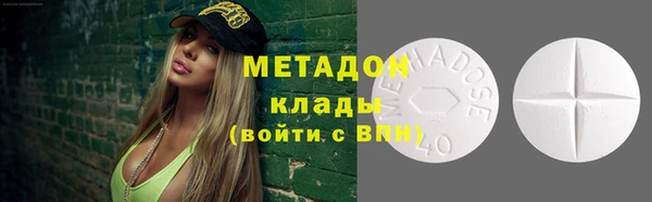 трава Белокуриха
