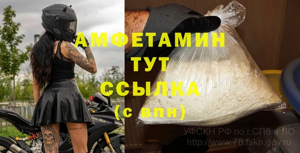 трава Белокуриха