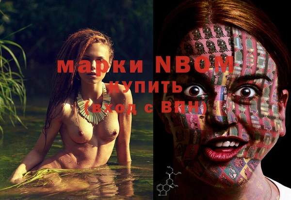 трава Белокуриха