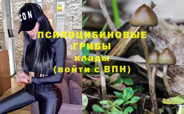гидропоника Белоозёрский
