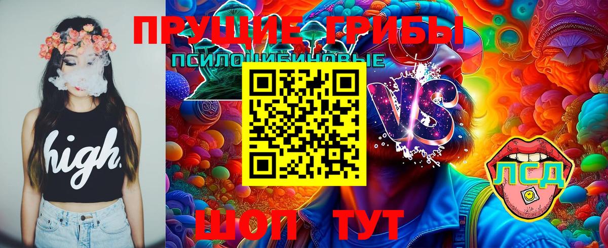 Галлюциногенные грибы Magic Shrooms Видное
