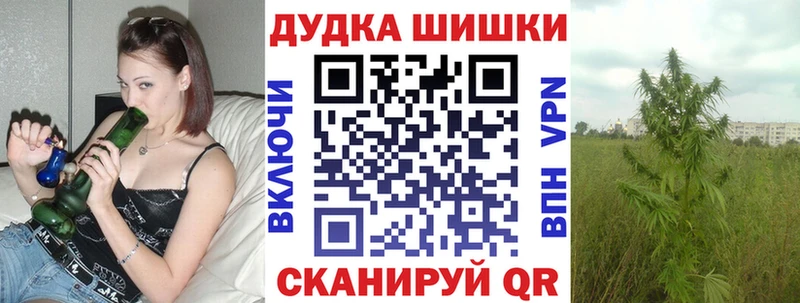 Каннабис ГИДРОПОН  hydra ТОР  Видное 