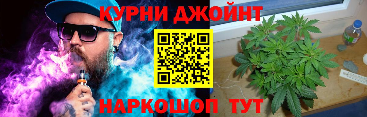 МАРИХУАНА сатива  Шишки марихуана планчик  Вход с VPN  Видное  Шишки марихуана планчик 
